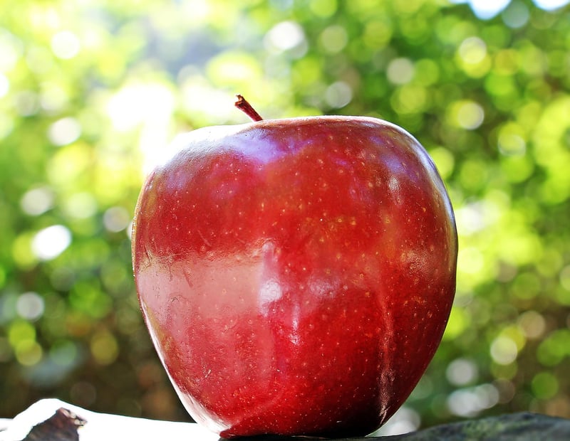 Occult Orchard Apples