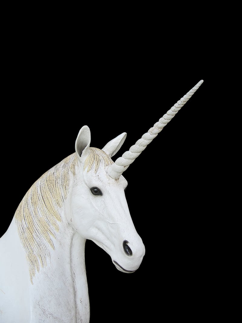 Unicorn Grazing